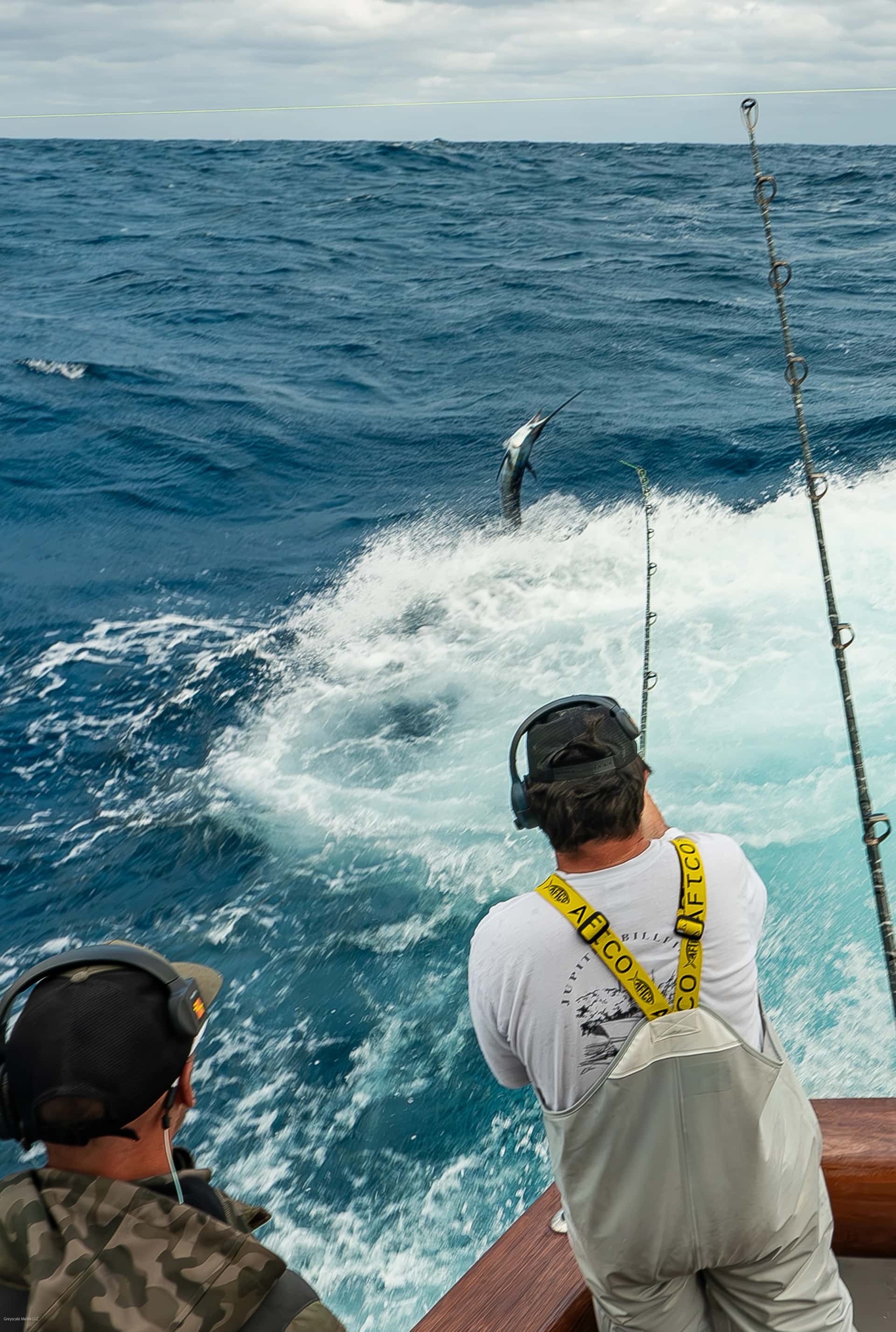 Sailfish jumping out of water at Pirate's Cove tournament